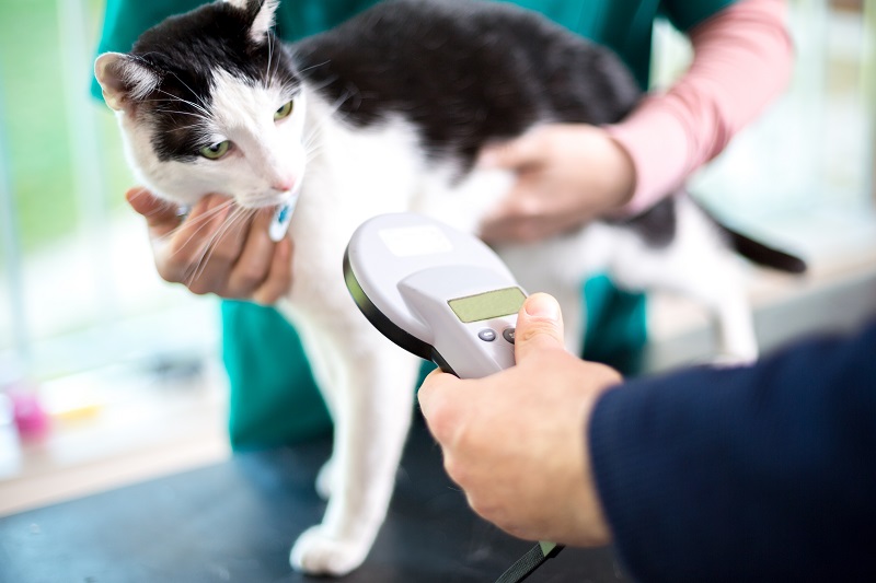 Microchipping Comet Veterinary Care — Private in-home services for families in Montecito, Santa Barbara & Carpinteria